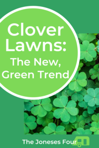 A Pinterest pin linking to an article titled Clover Lawns: The New, Green Trend