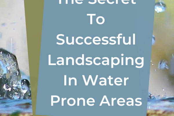 The Secret To Successful Landscaping In Water Prone Areas