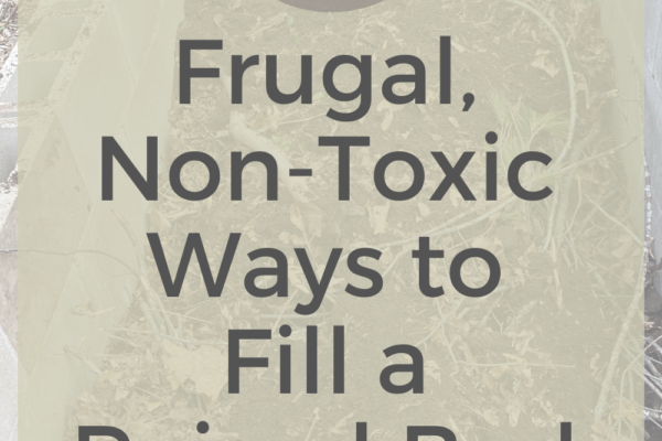 10 Frugal, Non-Toxic Ways To Fill A Raised Bed