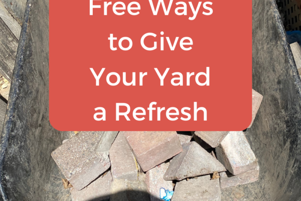 8 Free Ways to Give Your Yard a Refresh
