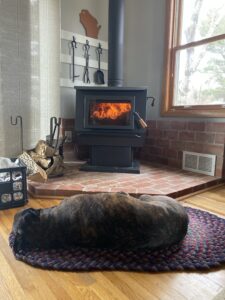 Cozy image of a large brindle dog sleeping in front of a woodstove. 